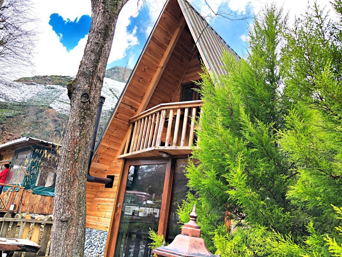 Çamlıhemşin Tabiat Bungalows Otel מראה חיצוני תמונה