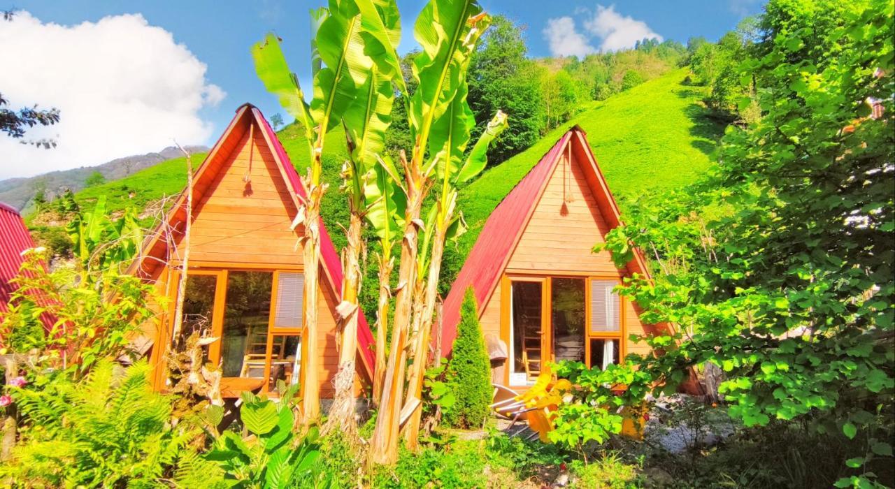 Çamlıhemşin Tabiat Bungalows Otel מראה חיצוני תמונה